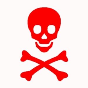 ROCKIN my REFLECTION